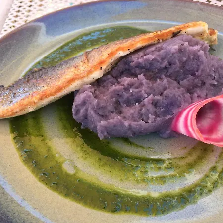 酒店 丽都海滩酒店