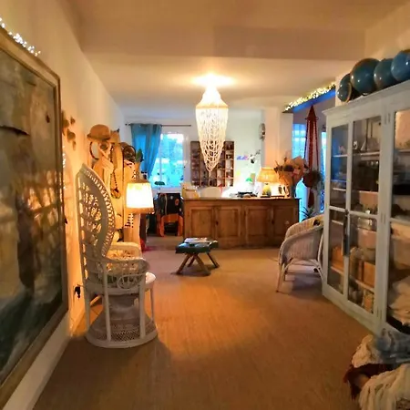 丽都海滩酒店 酒店